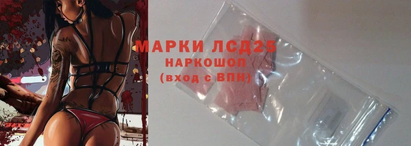 дживик Аркадак