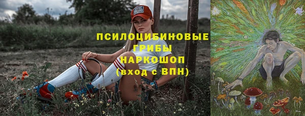 сатива Арсеньев