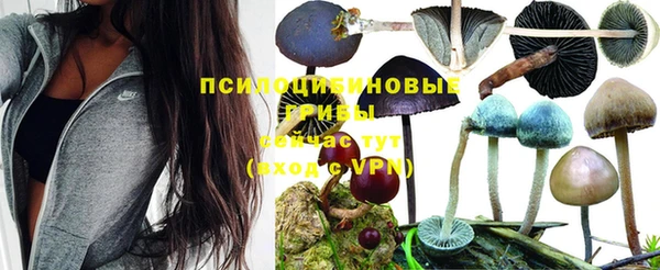 ALPHA-PVP Армянск