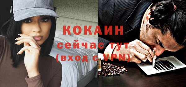дживик Аркадак