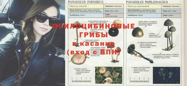 ALPHA-PVP Армянск