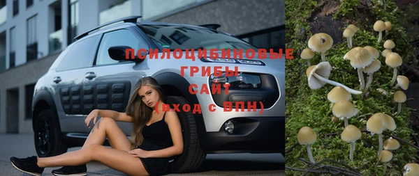 сатива Арсеньев