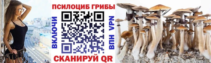 Псилоцибиновые грибы мицелий  Орёл 